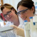 Almanya’da Eğitim