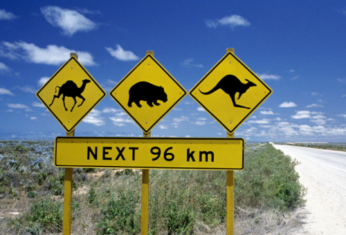 Avustralya’da eğitim